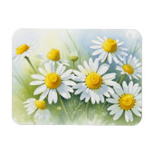 Deutsche Kamille in Blüte Magnet (Horizontal)