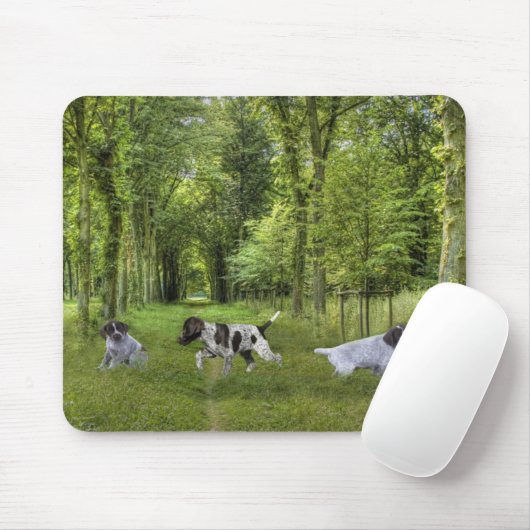 Deutsche kurzhaariger Zeiger-Welpen Mousepad (Mit Mouse)