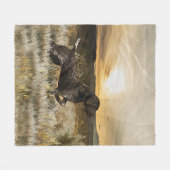 Deutsche Kurzzeiger (APS) Fleecedecke (Vorderseite (Horizontal))