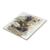 Deutsche Kurzzeiger (APS) Fliese (Seite)