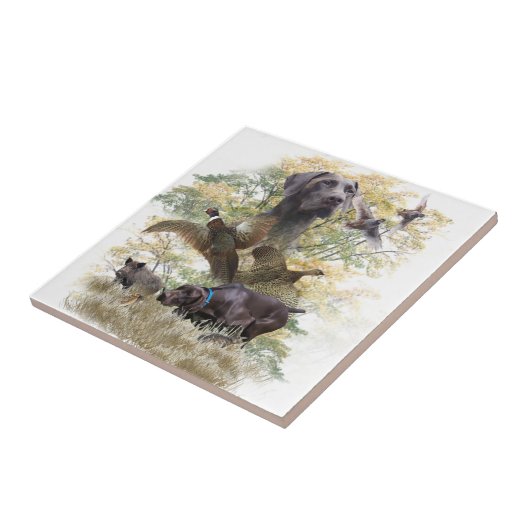 Deutsche Kurzzeiger (APS) Fliese (Seite)