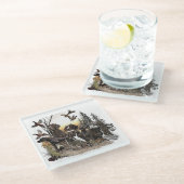 Deutsche Kurzzeiger (APS) Glasuntersetzer (Schrägansicht)