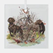 Deutsche Kurzzeiger (APS)