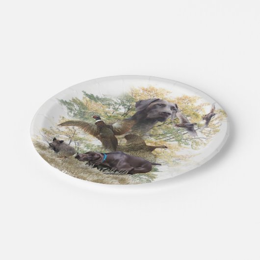 Deutsche Kurzzeiger (APS) Pappteller (Schrägansicht)