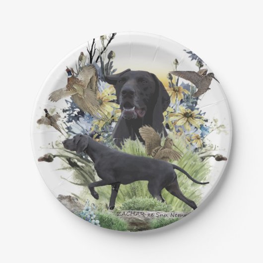 Deutsche Kurzzeiger (APS) Pappteller (Vorderseite)