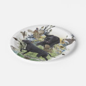 Deutsche Kurzzeiger (APS) Pappteller (Schrägansicht)