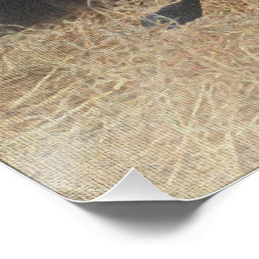 Deutsche Kurzzeiger (APS) Poster (Ecke)