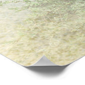 Deutsche Kurzzeiger (APS) Poster (Ecke)