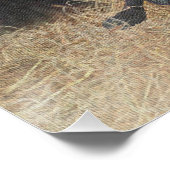 Deutsche Kurzzeiger (APS) Poster (Ecke)