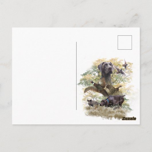 Deutsche Kurzzeiger (APS) Postkarte (Rückseite)