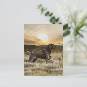 Deutsche Kurzzeiger (APS) Postkarte (Stehend Vorderseite)