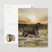 Deutsche Kurzzeiger (APS) Postkarte (Vorne/Hinten)