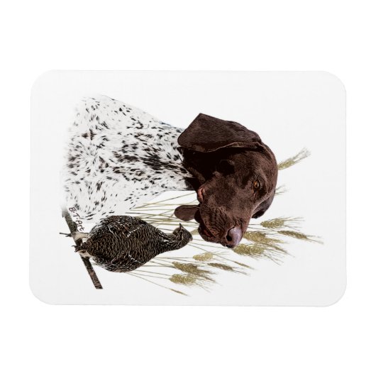 Deutsche Kurzzeiger (APS) Postkartenkaffee Magnet (Horizontal)