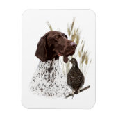 Deutsche Kurzzeiger (APS) Postkartenkaffee Magnet (Vertikal)