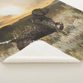 Deutsche Kurzzeiger (APS) Sherpadecke (3/4)