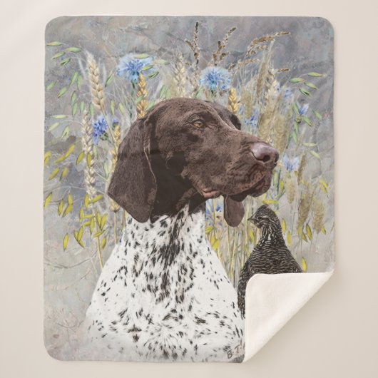 Deutsche Kurzzeiger (APS) Sherpadecke (Vorderseite)