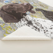 Deutsche Kurzzeiger (APS) Sherpadecke (3/4)