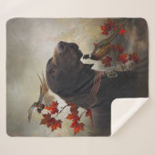 Deutsche Kurzzeiger (APS) Sherpadecke (Vorderseite (Horizontal))