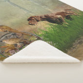 Deutsche Kurzzeiger (APS) Sherpadecke (3/4)