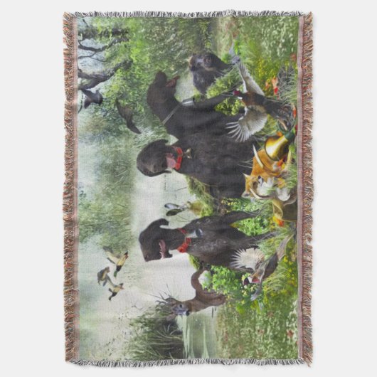 Deutsche Kurzzeiger Decke (Vorderseite Vertikal)