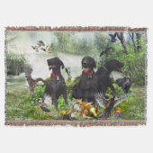 Deutsche Kurzzeiger Decke (Vorderseite)