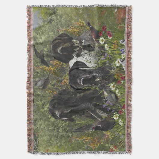 Deutsche Kurzzeiger Decke (Vorderseite Vertikal)