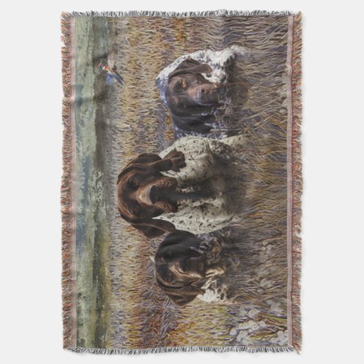 Deutsche Kurzzeiger Decke (Vorderseite Vertikal)