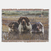 Deutsche Kurzzeiger Decke (Vorderseite)