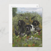 Deutsche Kurzzeiger Feiertagspostkarte (Vorne/Hinten)