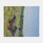 Deutsche Kurzzeiger Fleecedecke (Vorderseite (Horizontal))