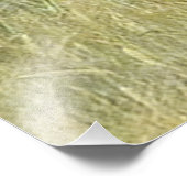 Deutsche Kurzzeiger Fotodruck (Ecke)