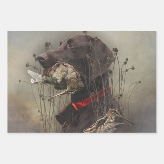 Deutsche Kurzzeiger Geschenkpapier Set (Vorderseite 2)