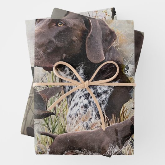 Deutsche Kurzzeiger Geschenkpapier Set (Beispiel)