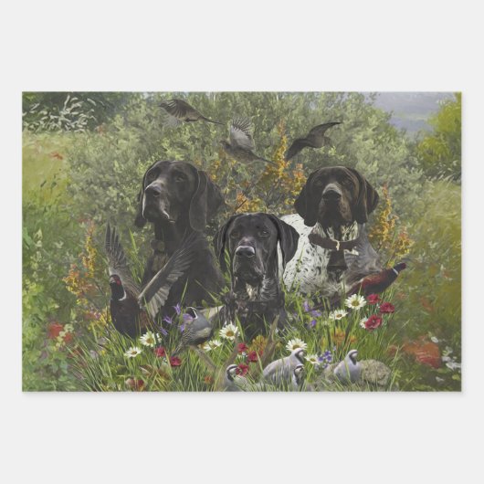 Deutsche Kurzzeiger Geschenkpapier Set (Vorderseite 2)