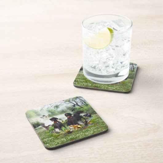 Deutsche Kurzzeiger Getränkeuntersetzer (Rechte Seite)