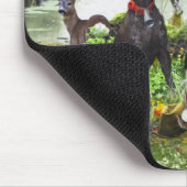 Deutsche Kurzzeiger Mousepad (Ecke)