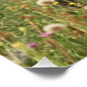 Deutsche Kurzzeiger Poster (Ecke)