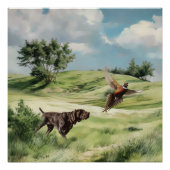 Deutsche Kurzzeiger Poster (Vorderseite)