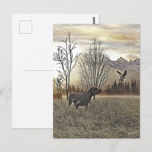 Deutsche Kurzzeiger Postkarte (Vorne/Hinten)