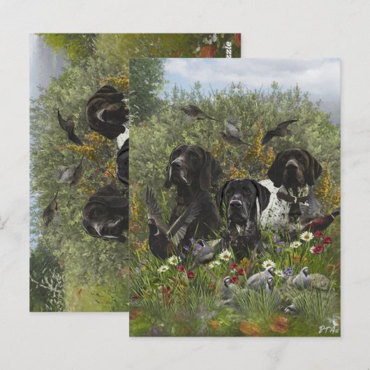 Deutsche Kurzzeiger Postkarte (Vorne/Hinten)