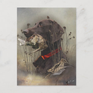 Deutsche Kurzzeiger Postkarte