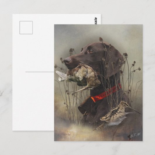 Deutsche Kurzzeiger Postkarte (Vorne/Hinten)