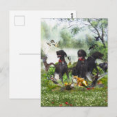 Deutsche Kurzzeiger Postkarte (Vorne/Hinten)