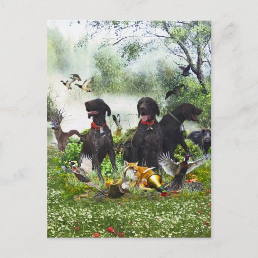 Deutsche Kurzzeiger Postkarte (Vorderseite)