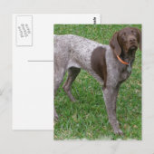 Deutsche Kurzzeiger-Postkarte Postkarte (Vorne/Hinten)