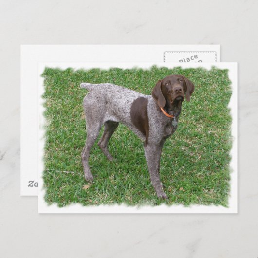 Deutsche Kurzzeiger-Postkarte Postkarte (Vorne/Hinten)