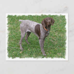 Deutsche Kurzzeiger-Postkarte Postkarte