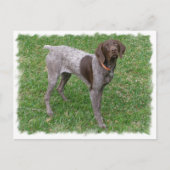 Deutsche Kurzzeiger-Postkarte Postkarte (Vorderseite)