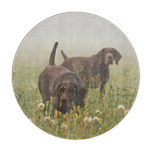 Deutsche Kurzzeiger Schneidebrett