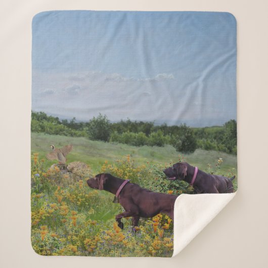 Deutsche Kurzzeiger Sherpadecke (Vorderseite)